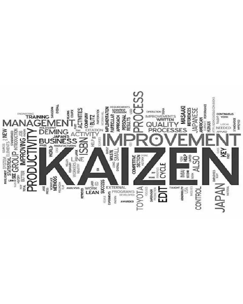 Kaizen Consulting